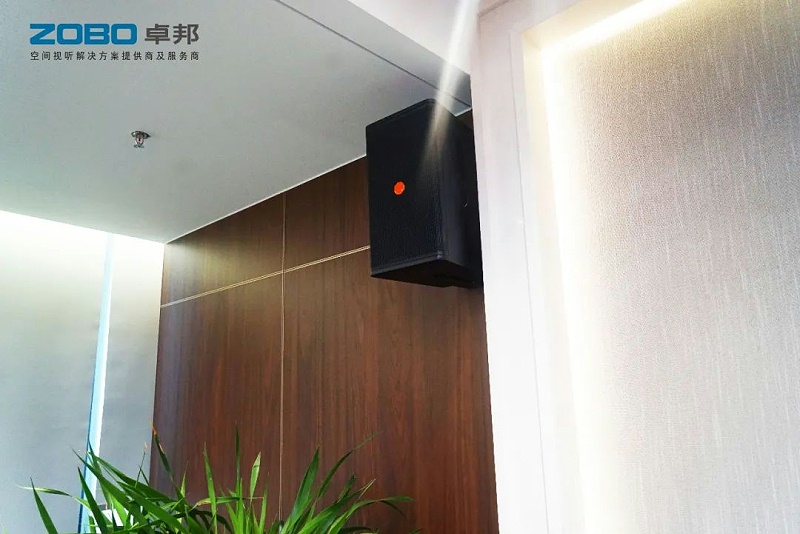 水蜜桃黄色视频設備和會議揚聲器係統安裝的要點