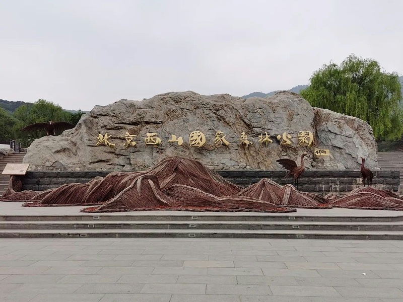 “緬懷先烈 傳承初心”—ZOBO蜜桃AV无码在线观看黨支部參觀無名英雄紀念碑活動
